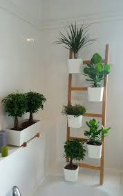 Bathroom Ikea Satsumas Plant Decor Indoor Plant Wall Decor Ikea Plants