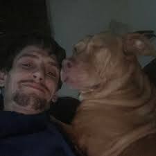 CarX Street Public Test Updates and New Features