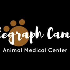 South san diego veterinary hospital. Veterinarians In Imperial Beach Yelp