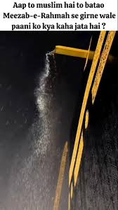 Image result for tbn:fWFGfe7mxNEQKM::www.feamman.com/wallpapers/Img-82755.jpg