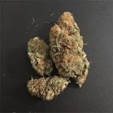 Image result for whats Chocolope kush strain