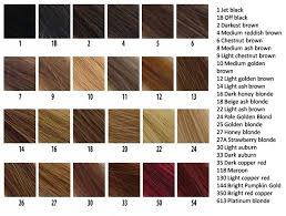 Blonde Hair Color Chart Anagen Hair