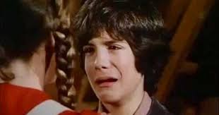 Laura And Albert Ingalls Melissa Gilbert And Matthew Laborteaux Family Tree Little House Family Show Little Houses