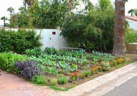 Perfect in raised garden beds: Vegetable Gardens In Unexpected Places Azplantlady Com