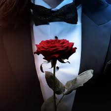 The series revolves around a single bachelor and a pool of romantic interests, which could include a potential wife for the bachelor. The Bachelor Uk Home Facebook