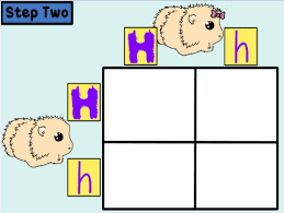 Amoeba sisters monohybrid crosses worksheet answer key : Https Www Amoebasisters Com Uploads 2 1 9 0 21902384 Video Recap Of Mendelian Monohybrid Cross By Amoeba Sisters Pdf