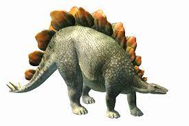 We did not find results for: Stegosaurus Bony Plates Tiny Brain Live Science