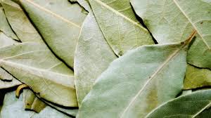 Daun ini dimasukkan dalam masakan dengan cara memasukkan terus, menghiris atau mengoyakkannya. 10 Jenis Dedaunan Aromatik Yang Sering Digunakan Untuk Masakan Kumparan Com