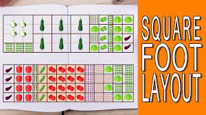 For example, 16 radishes in one square foot, or just one cabbage. Square Foot Gardening Layout Plans When To Start Planting Youtube