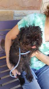 Welcome to lawn doctor of rochester! Rochester Veterinary Clinic Home Facebook