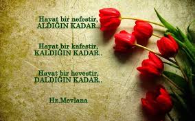 2020 yılı kurban bayramı yarın kılınacak bayram namazı ile başlayacak. Sevgiliye Bayram Mesajlari 2019 Romantik Mana Yuklu Kurban Bayrami Mesajlari Haberler