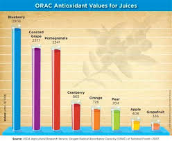 blueberry juice tops the orac antioxidant chart wild