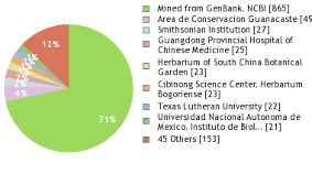 Image result for Croton polytrichus
