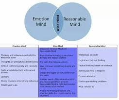 Dbt Chart Dbt Mental Health Awareness Mindfulness