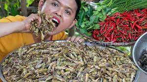 Delicious Cooking Locust Recipe - Deep Fried Crispy Grasshopper With Spicy  Chilli In Village - Youtube