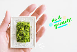 Das projekt lässt sich in weniger als eine stunde basteln. Diy Mini Moosbild Selber Machen Als Geschenk Eau De Collage Diy Blog Aus Koln