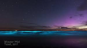 Bij het strand van ellemeet zit zeevonk in het water. Zeevonk Zee Nabij Katwijk Kleurt Magisch Blauw Onweer Online Nl