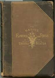 Start studying flowers and ferns. The Native Flowers And Ferns Of The United States In Their Botanical Horticultural And Popular Aspects Volume Ii Meehan Thomas Amazon Com Books