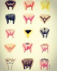 Like most hair on your body, pubic hair is thought to have some protective benefits. Lucy Beresford On Twitter Fab Fun Being Fanny Forward On My Lbc Sex And Relationships Show Last Night Championing This Cute Art From Thevulvagallery And Look Pubic Hair Is Visible Aboutbloodytime