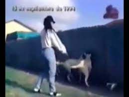 Selena Playing With Her English Bull Mastiffs Dogs Youtube