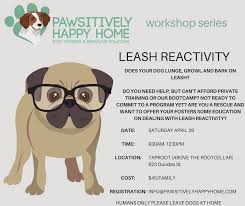 Some owners opt for private lessons, while. Leash Reactivity Workshop Need Some Help But Are Not Currently Able To Commit To Private Training Or Our Boot Camp Are You A Pet Professional Or Rescue Organisation Who Would Like More