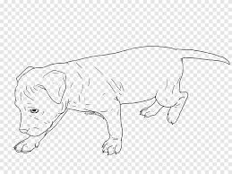 Pitbull Terrier Americano Cachorro Linea Arte Pitbull Blanco Mamifero Png Pngegg Esta raza, que es ampliamente conocida como cuando hablamos de pitbull utilizamos el diminutivo de american pit bull terrier, y no es un gesto de desprecio o negligencia, lo mismo ocurre con el. pitbull terrier americano cachorro