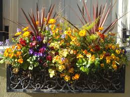 Don't be afraid of color, texture and dimension when designing your window boxes. Window Box Wikipedia
