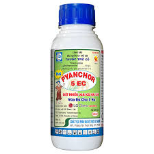 Pyanchor 5EC