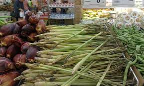 Es un tipo de pasto perenne. Que Es El Lemon Grass