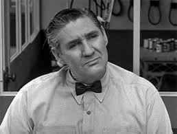 The Real McCoys" Luke the Reporter (TV Episode 1962)