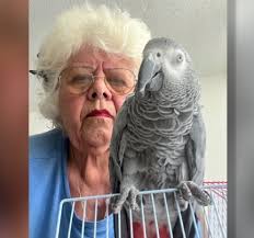 Frontier Airlines...