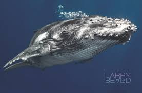 An Extraordinary Passion Meets Extraordinary Experiences