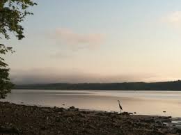 May 28, 2021 · turkey's finance minister elvan: Cleanup At Turkey Point And Ulster Landing Riverkeeper