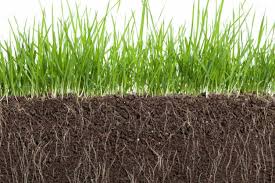 Kellogg garden organics topper is the perfect topdressing and soil amendment for your lawn. Kellogg Topper Soil Lawns Sod Seed Kellogg Garden Organics