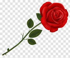 Check spelling or type a new query. Happiness Valentine S Day Wish Quotation Love Boyfriend Rose Vector Transparent Png