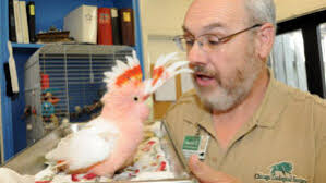 Local 727 Honors Longtime Brookfield Zoo Member and Former Steward Dave  Thornton : Teamsters Local 727