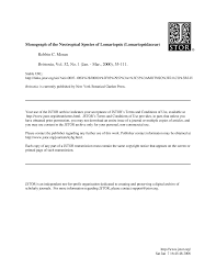 Image result for Lomariopsis hederacea