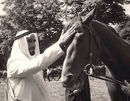 الشيخ زايد بن سلطان ال نهيان رحمه الله my pictures arabian horse history
