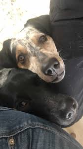 Veronica Marroquin (@sanandodesdeelalmamx) • Instagram photos and videos