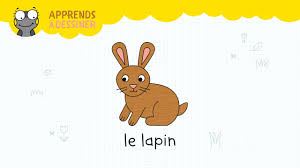 Illustration de lapin, dessin lapin, petit dessin, dessins zentangle, dessin au crayon. Un Dessin De Lapin Facile A Faire La Salamandre