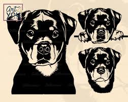 Download Pin On Funny And Cute Animals Digital Download Files SVG, PNG, EPS, DXF File