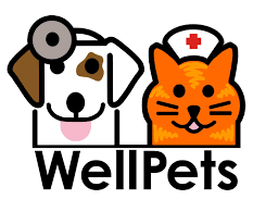 United states, brownsburg, 736 east main street. The Pet Clinic Of Brownsburg Home Facebook