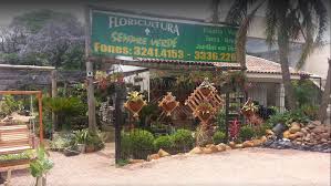 Ver localização, endereço, comentários e horário de funcionamento. Floricultura Sempre Verde Floricultura Em Teresopolis