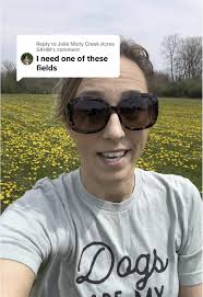 Harvesting Dandelions for Natural Remedies