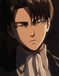 Fans who have watched levi lead the scout regiment with utter dedication will likely be surprised to learn that the captain was formerly a criminal. Levi Ackerman A Slap On Titan Wiki Fandom