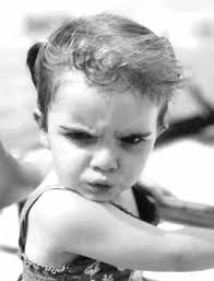 Solar Project Talk Continues At Panhandle Board