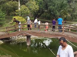 Di janda baik anda bisa menikmati sajian berkemah dengan tema yang lebih elegant dengan menginap di kanopi villa janda baik. Berkampung Di Banglo Mewah Janda Baik Bentong Pahang