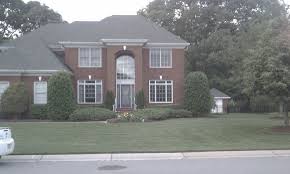 We sell faux pampas grass that is easy to clean and will last as long as you want. How Fast Does Pampas Grass Beach Grass Grow Hometalk