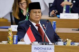 Indonesia president suggests scrapping regional elections to cut costs