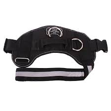 new all in one no pull dog harness